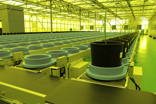 萬賓科技攻克“十三五”關鍵技術和產品，實現作物表型平臺中國智造(圖4)