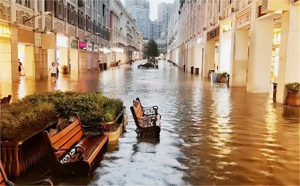 地下管網(wǎng)的“哨兵”一城市排水管網(wǎng)監(jiān)測系統(tǒng)(圖1)