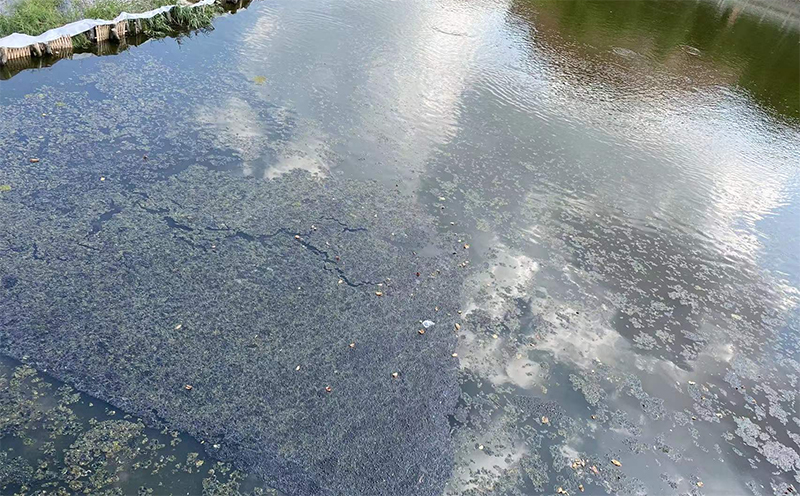 萬賓智能監測產品應用于廈門埭頭溪流域綜合治理智慧平臺項目(圖3)