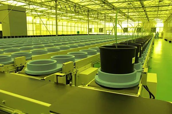 省委副書記率省委農(nóng)辦領(lǐng)導(dǎo)調(diào)研水稻表型智慧平臺(tái)(圖3)